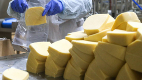 Почти 70% российского сыра в 2021 году пришлось на 20 компаний
